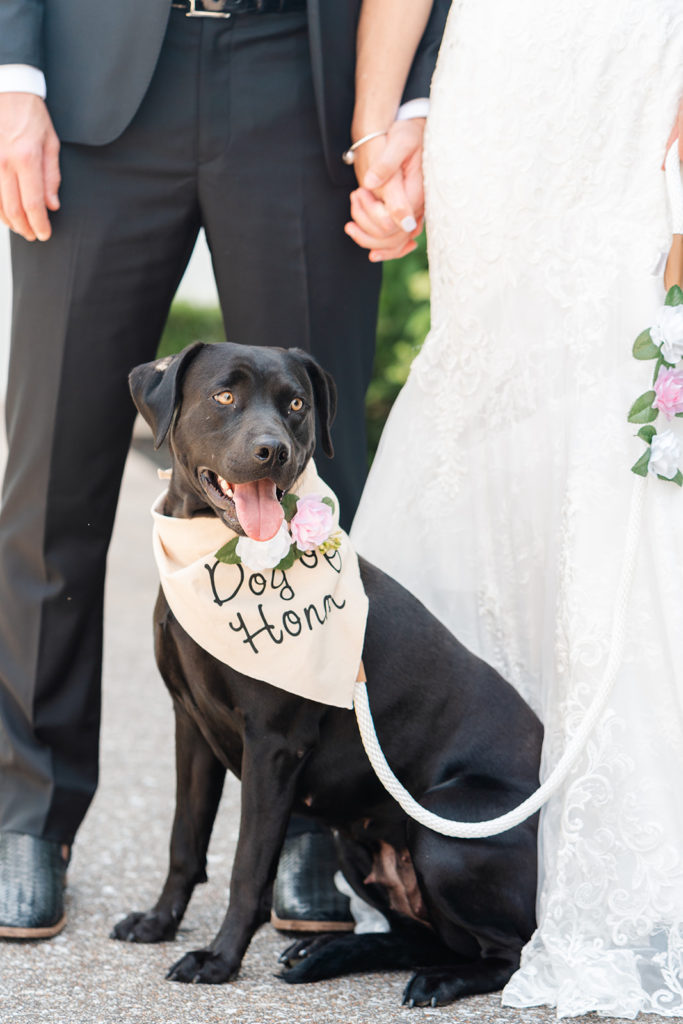 Dog of honor - Chattanooga Wedding Photographer - Stratton Hall - Chattanooga Wedding Venue