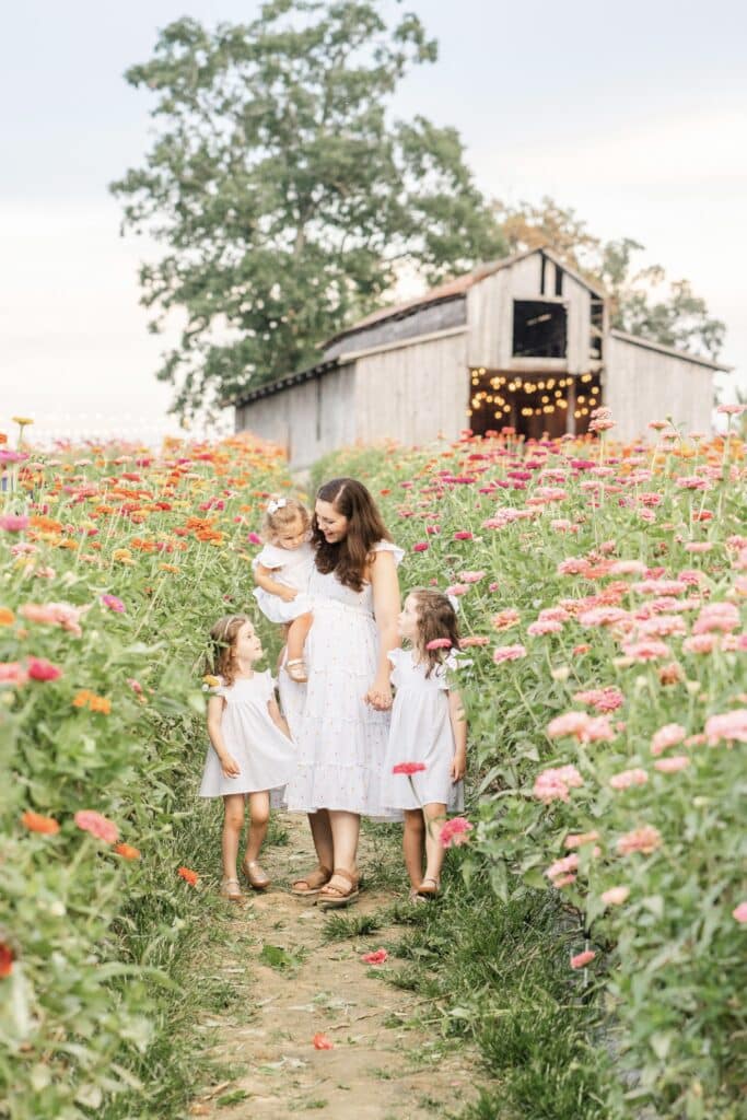 zinnias at Flat Top Mountain Farm Near Chattanooga