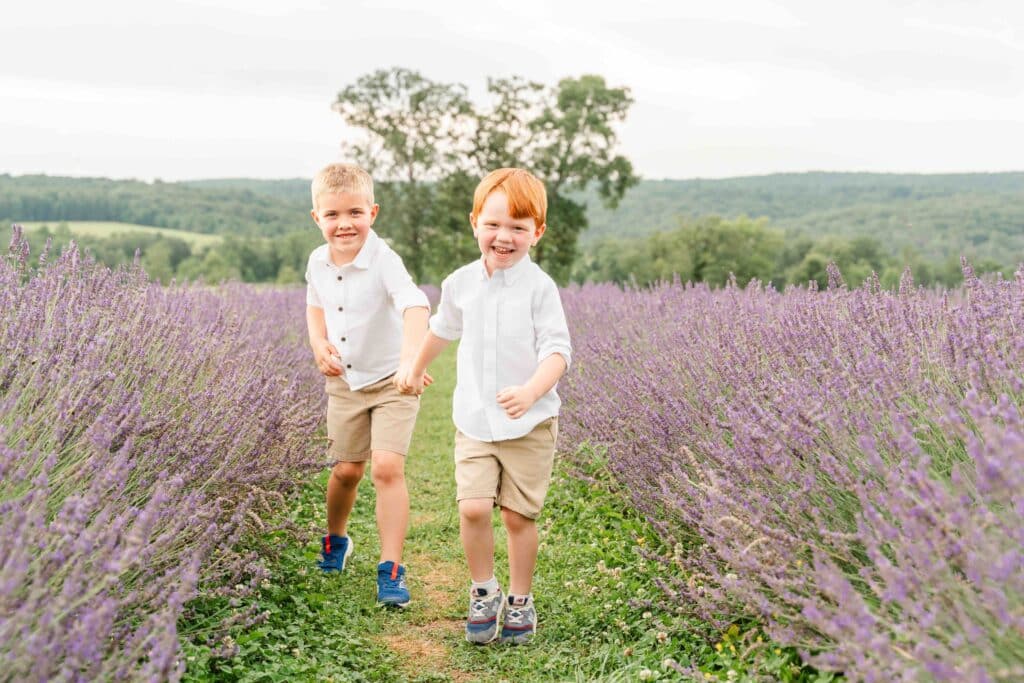 Boys run through lavender field