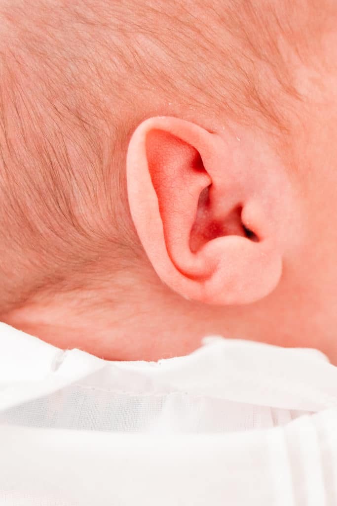 Detail shot of baby ear