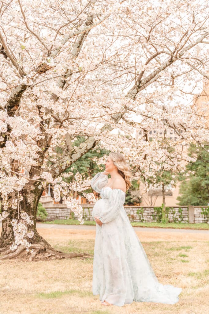 Luxury Chattanooga Maternity Photography Session. Luxury gown in front of cherry blossoms in Downtown Chattanooga