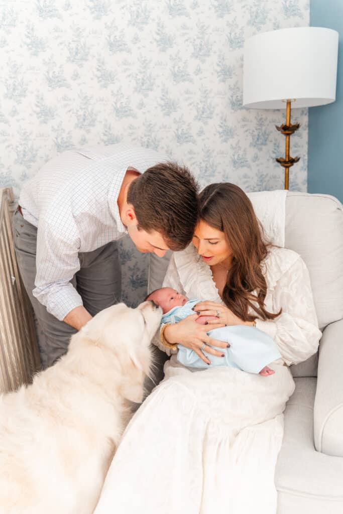 Dog smells newborn baby during in home newborn photography session.