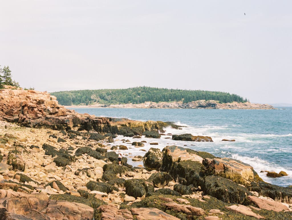 Scenic view of ocean from Acadia national park