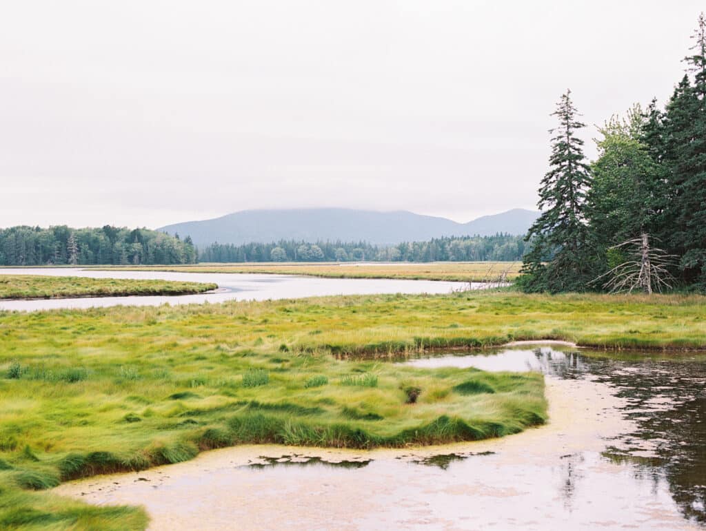 Roadside snapshot from Mount Desert Island