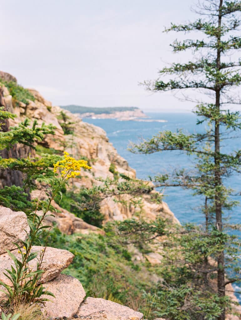 View near Otter Cliffs In Acadia National Park