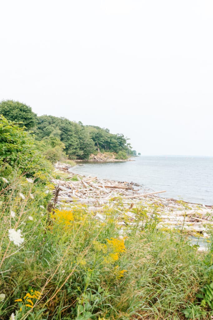 View of coast in Maine