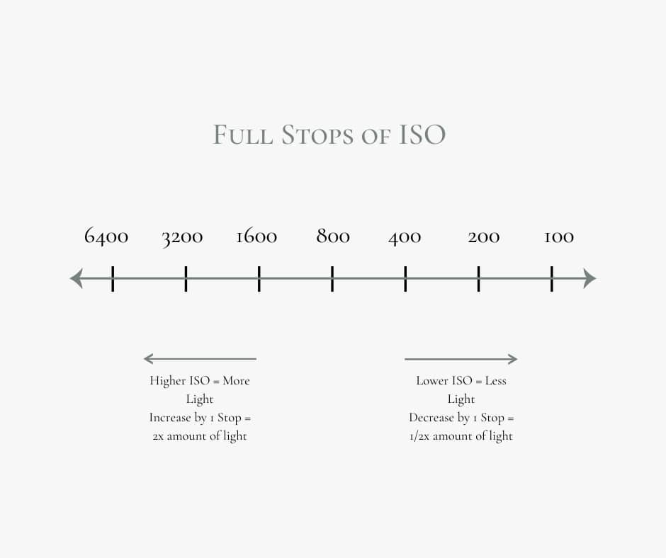 Chart displaying and explaining full stops of ISO in photography