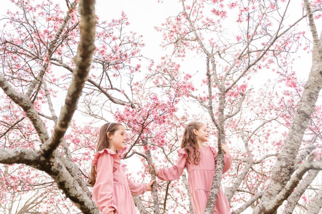 Portrait taken using Expodisc V3 to set custom white balance